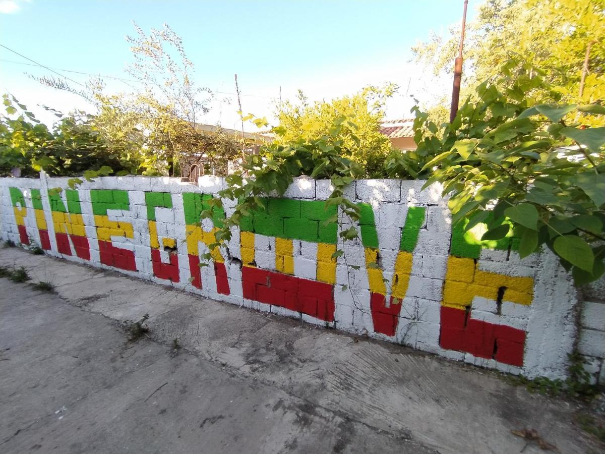 Pinegroove Hostel Vlora Экстерьер фото