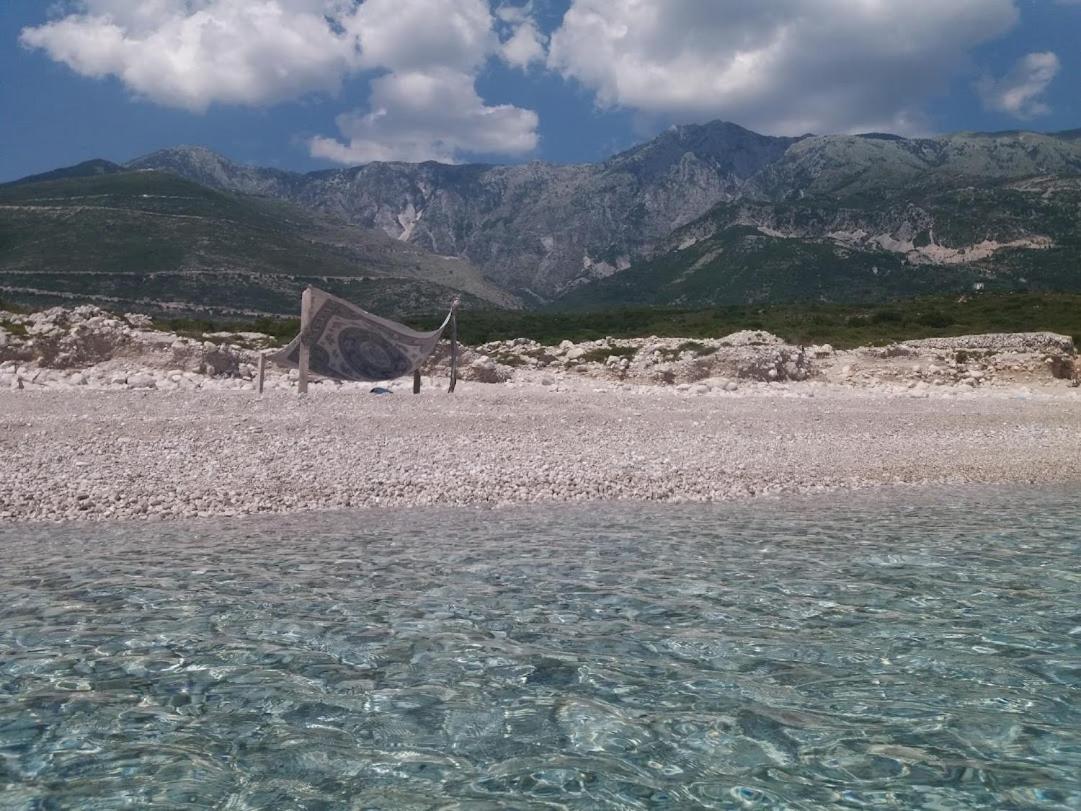 Pinegroove Hostel Vlora Экстерьер фото