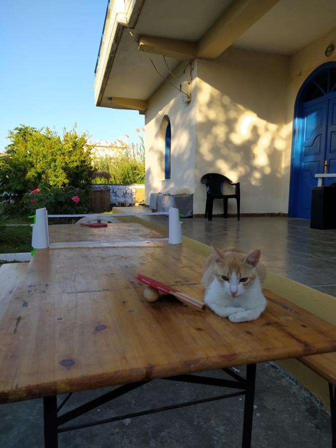 Pinegroove Hostel Vlora Экстерьер фото