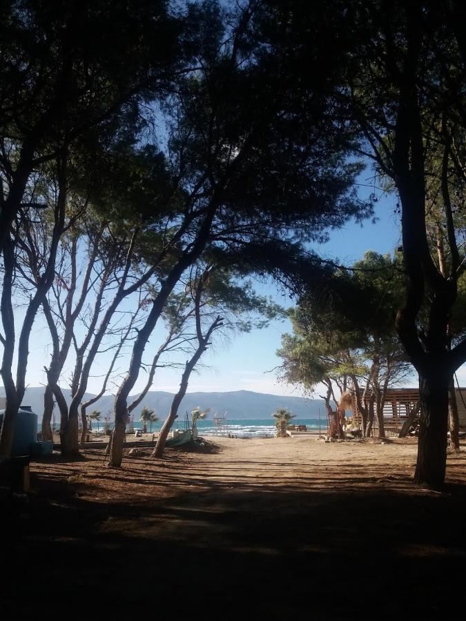 Pinegroove Hostel Vlora Экстерьер фото